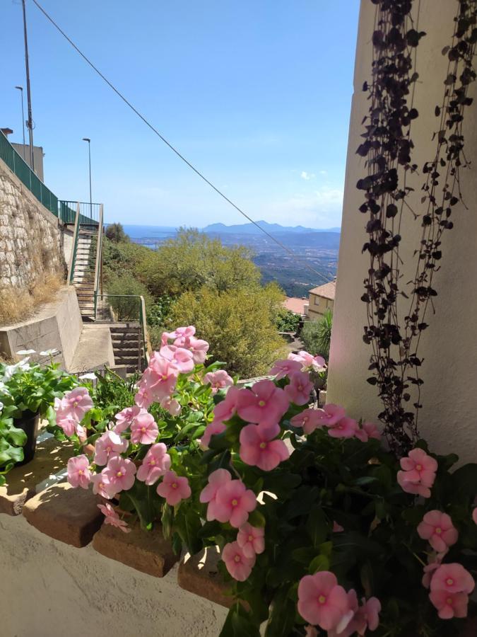 Steddueoro Bed and Breakfast Baunei Exterior foto